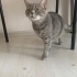 Çocuk dostu duman fotoğraf