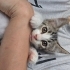 KÜÇÜK OYUNCU YUVA ARIYOR fotoğraf