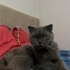 DUMANA KALICI YUVA ARIYORUZ fotoğraf