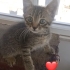 İnsan aşığı,  sevgi delisi bir çocuk fotoğraf