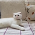 uysal ogula yuva acil fotoğraf