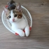 Acil yuva lazımm fotoğraf