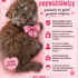 Ücretsiz yavru scottishfold ömürlük yuva arıyoruz fotoğraf