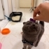1 yaş erkek kısır uysal terk ediliyor fotoğraf