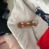Bal bebek yuva arıyor fotoğraf