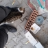 Sevgi kedisi tekir 5 -6 aylık cana yakın patili dost fotoğraf