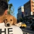 ACIL YUVA LUTFEN fotoğraf