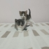 İki minik kız yeni yuvalarını arıyor fotoğraf