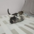 İki minik kız yeni yuvalarını arıyor fotoğraf