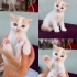 1 aylık muhteşem bir yavru🐱🧿 fotoğraf