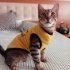 OKURMUSUNUZ HİKAYESİNİ VE MÜCADELESİNI MİNİK PRENSESİN fotoğraf