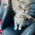 2,5 AYLIK GÜMÜŞ KIZ MARKETİN OTOMATİK KAPISINA SIKIŞMAK ÜZEREYKEN KURTARILDI😿 fotoğraf