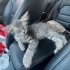 2,5 AYLIK GÜMÜŞ KIZ MARKETİN OTOMATİK KAPISINA SIKIŞMAK ÜZEREYKEN KURTARILDI😿 fotoğraf