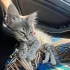 2,5 AYLIK GÜMÜŞ KIZ MARKETİN OTOMATİK KAPISINA SIKIŞMAK ÜZEREYKEN KURTARILDI😿 fotoğraf