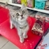 2,5 AYLIK GÜMÜŞ KIZ MARKETİN OTOMATİK KAPISINA SIKIŞMAK ÜZEREYKEN KURTARILDI😿 fotoğraf
