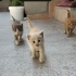 Anneleri olmayan yavrulara yuva fotoğraf