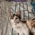 Minik kız bir melek arıyor fotoğraf