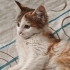 Minik kız bir melek arıyor fotoğraf