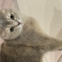 Güzeller güzeli luna fotoğraf
