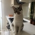 Sevimli yavrumuza yuva arıyoruz fotoğraf