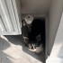 Oyuncu zıpır bir bebek fotoğraf