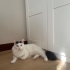 Sütlacımıza Yuva Arıyoruz fotoğraf