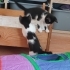 Behzat C-Ç yuva arıyor 🤗 fotoğraf