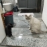 Kör ama yaşam dolu fotoğraf