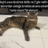 Ankara sokağa dönecek fotoğraf