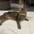 Ankara sokağa dönecek fotoğraf