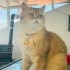 Yakışıklıya acil yuva fotoğraf