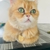 Yakışıklıya acil yuva fotoğraf