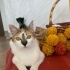 Herkes için savaştı ama kendi sokağa dönecek fotoğraf