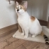 Herkes için savaştı ama kendi sokağa dönecek fotoğraf