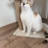 Herkes için savaştı ama kendi sokağa dönecek fotoğraf