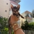Annelerine araba çarptığı için bu 3 kardeşe ömürlük yuva arıyoruz fotoğraf