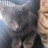 Duman ın size çok ihtiyacı var fotoğraf