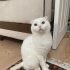 ACİL ANKARA YUVA fotoğraf