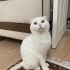 ACİL ANKARA YUVA fotoğraf