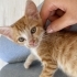 Çok sevecen insan odaklı fotoğraf