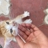 Çok sevecen insan odaklı fotoğraf