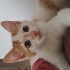 Hayatınıza renk katmaya gelsin inanilmaz pozitif bir can fotoğraf