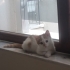 Hayatınıza renk katmaya gelsin inanilmaz pozitif bir can fotoğraf