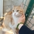 kızımıza güvenli bir yuva arıyoruz fotoğraf