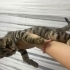 Kimse onu sahiplenmedi fotoğraf
