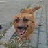 Bücür kızımız yıva arıyor fotoğraf