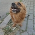 Bücür kızımız yıva arıyor fotoğraf