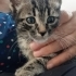 Yetim Umut'a acil yuva fotoğraf