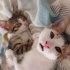 Sokağa geri donmesinler fotoğraf