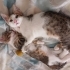 Sokağa geri donmesinler fotoğraf